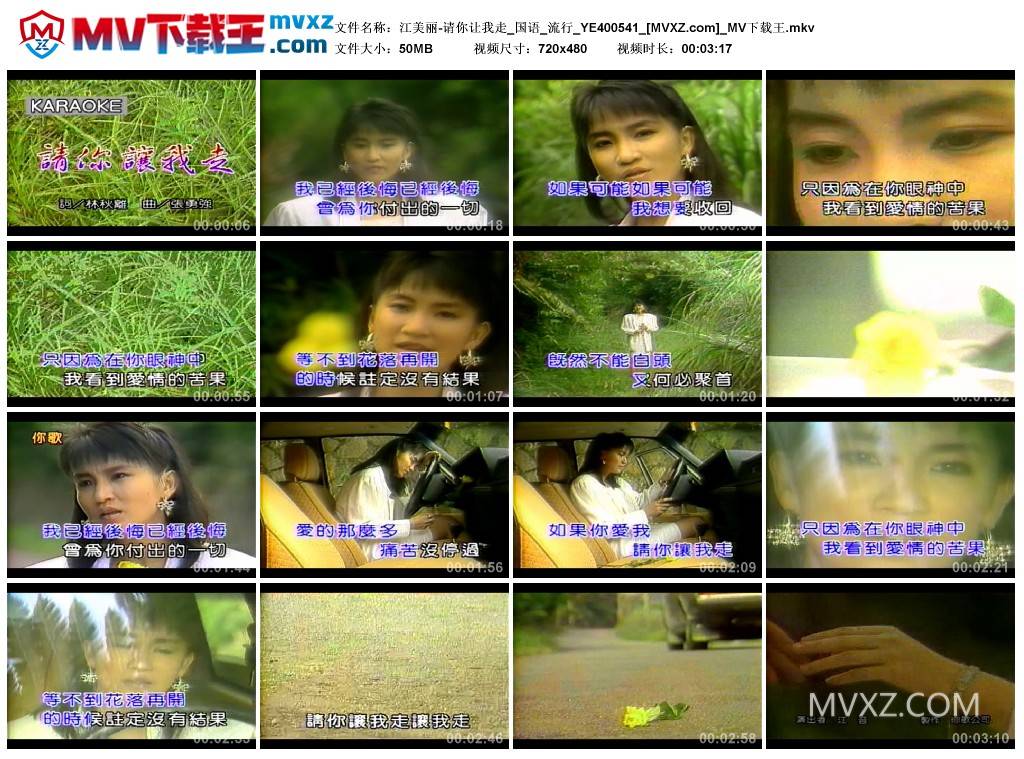 江美丽-请你让我走_国语_流行_YE400541